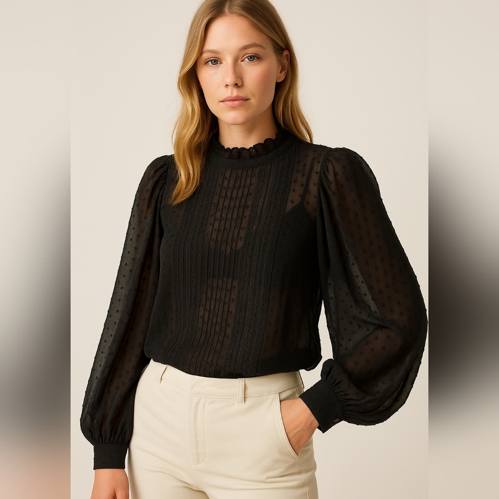 NWOT | Elegant Sheer Wide-Sleeve Blouse ZARA – S